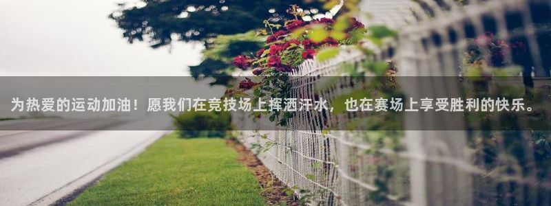 A8体育苹果版：为热爱的运动加油！愿我们在竞技场上挥洒汗水，也在赛场上享受胜利的快乐。