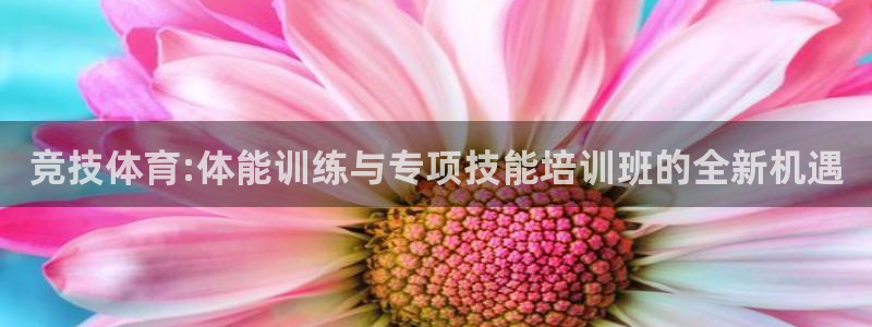 A8体育直播NBA直播入口：竞技体育:体能训练与专项技能培训班的全新机遇