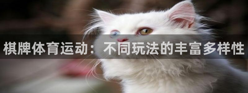 A8体育NBA：棋牌体育运动：不同玩法的丰富多样性